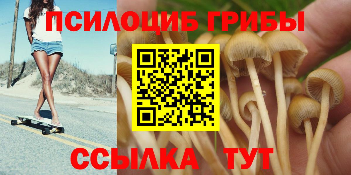 Псилоцибиновые грибы Psilocybe  Вход с VPN  Губкинский 