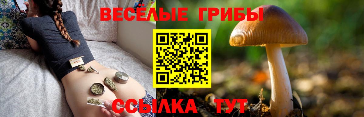 Галлюциногенные грибы прущие грибы Губкинский